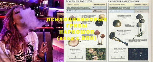 MESCALINE Алзамай