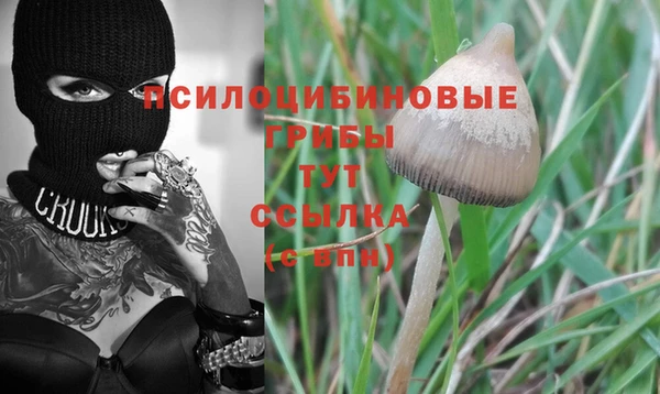 марки nbome Алексеевка