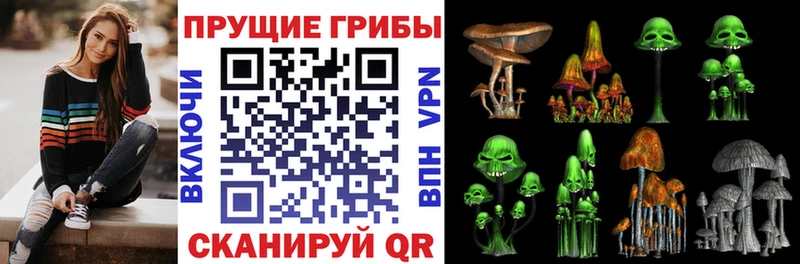 Галлюциногенные грибы мухоморы Сельцо