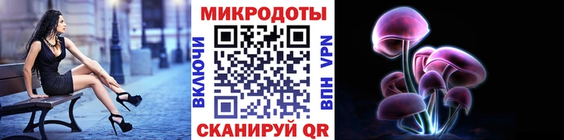 где купить   кракен ТОР  Галлюциногенные грибы мицелий  Сельцо 
