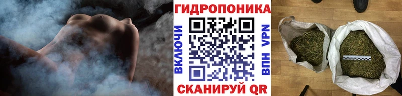 купить  цена  Сельцо  Конопля MAZAR 